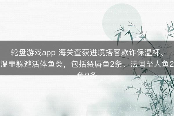 轮盘游戏app 海关查获进境搭客欺诈保温杯、保温壶躲避活体鱼类，包括裂唇鱼2条、法国至人鱼2条