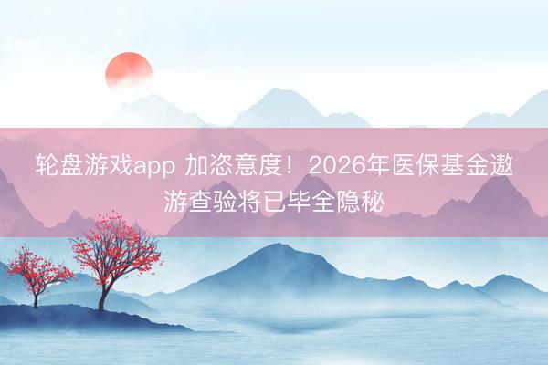轮盘游戏app 加恣意度！2026年医保基金遨游查验将已毕全隐秘