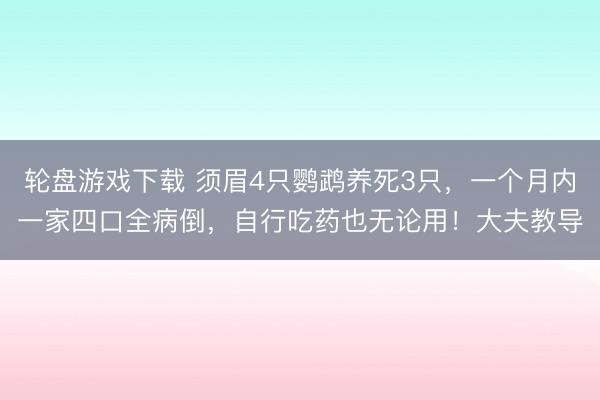轮盘游戏下载 须眉4只鹦鹉养死3只，一个月内一家四口全病倒，自行吃药也无论用！大夫教导