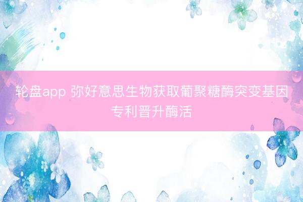 轮盘app 弥好意思生物获取葡聚糖酶突变基因专利晋升酶活