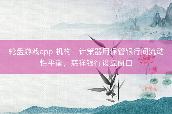 轮盘游戏app 机构：计策器用保管银行间流动性平衡，慈祥银行设立窗口