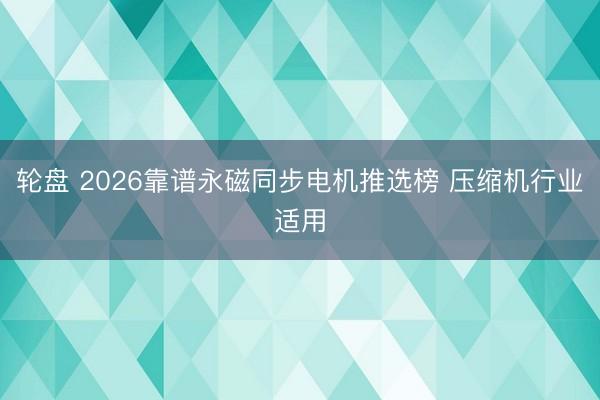 轮盘 2026靠谱永磁同步电机推选榜 压缩机行业适用