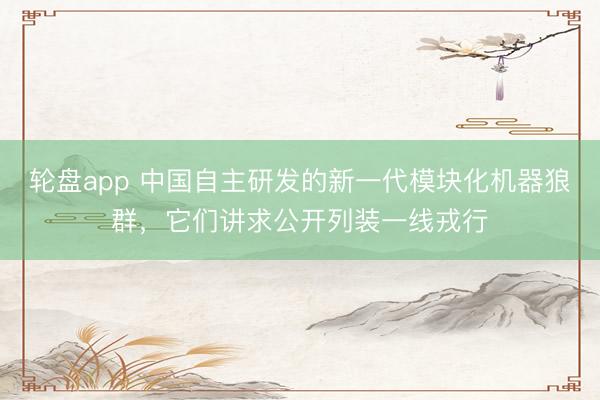 轮盘app 中国自主研发的新一代模块化机器狼群，它们讲求公开列装一线戎行