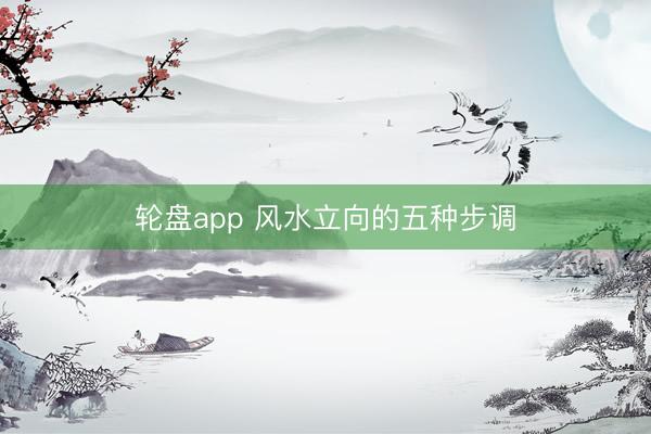 轮盘app 风水立向的五种步调