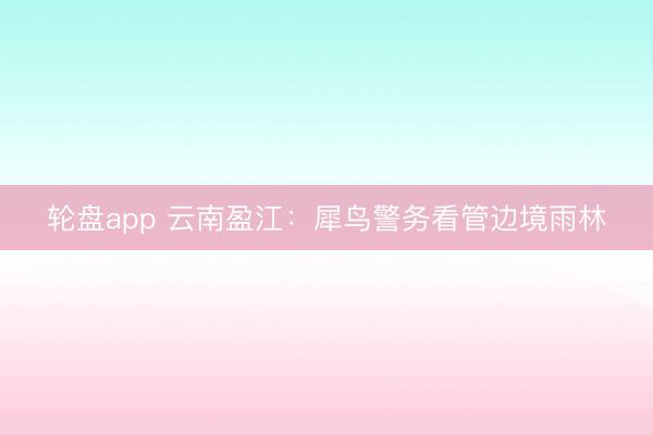 轮盘app 云南盈江：犀鸟警务看管边境雨林