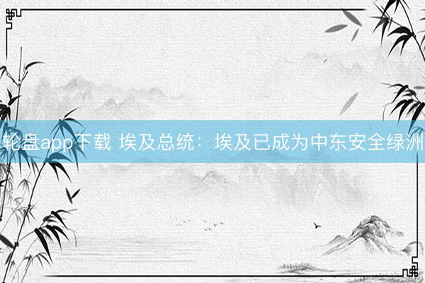 轮盘app下载 埃及总统：埃及已成为中东安全绿洲