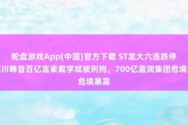 轮盘游戏App(中国)官方下载 ST龙大六连跌停！四川畴昔百亿富豪戴学斌被刑拘，700亿蓝润集团危境暴露