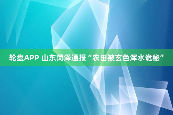 轮盘APP 山东菏泽通报“农田被玄色浑水诡秘”
