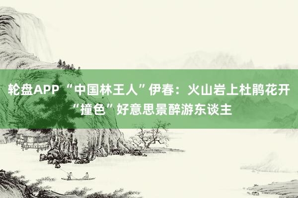 轮盘APP “中国林王人”伊春：火山岩上杜鹃花开 “撞色”好意思景醉游东谈主