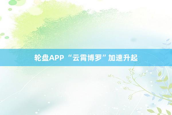 轮盘APP “云霄博罗”加速升起