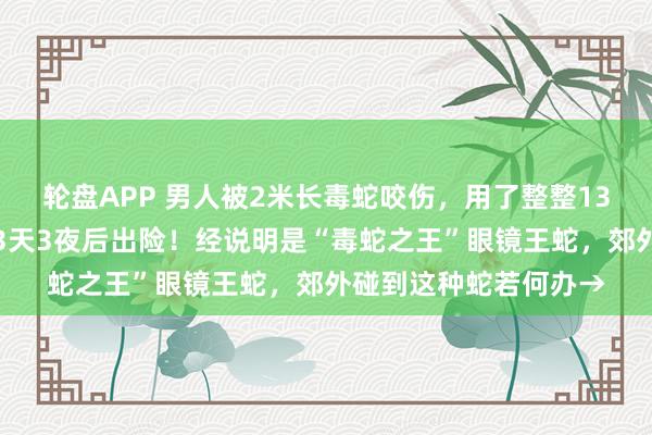 轮盘APP 男人被2米长毒蛇咬伤，用了整整13支抗蛇毒血清，救治3天3夜后出险！经说明是“毒蛇之王”眼镜王蛇，郊外碰到这种蛇若何办→
