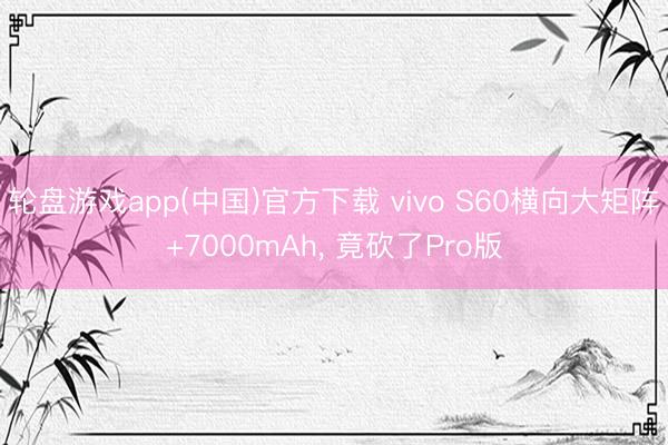 轮盘游戏app(中国)官方下载 vivo S60横向大矩阵+7000mAh， 竟砍了Pro版