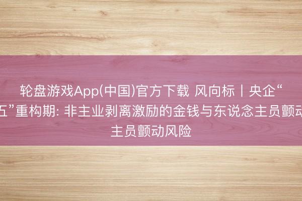 轮盘游戏App(中国)官方下载 风向标丨央企“十五五”重构期: 非主业剥离激励的金钱与东说念主员颤动风险