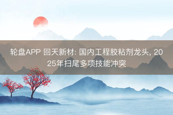 轮盘APP 回天新材: 国内工程胶粘剂龙头， 2025年扫尾多项技能冲突