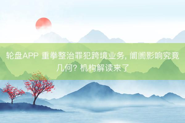 轮盘APP 重拳整治罪犯跨境业务， 阛阓影响究竟几何? 机构解读来了