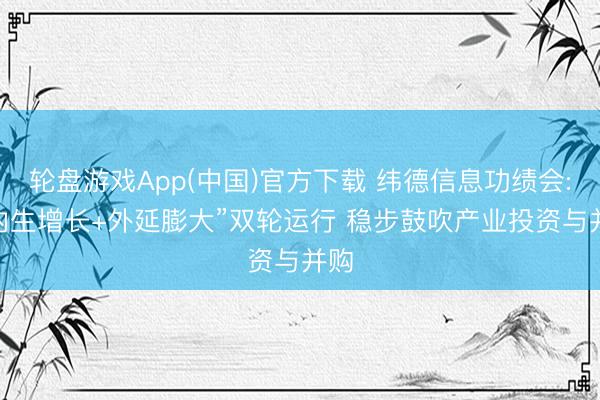 轮盘游戏App(中国)官方下载 纬德信息功绩会: “内生增长+外延膨大”双轮运行 稳步鼓吹产业投资与并购