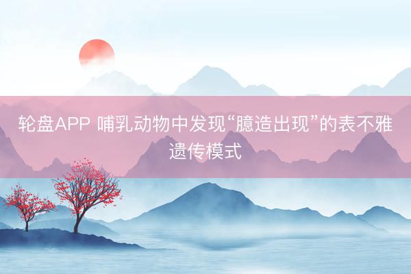 轮盘APP 哺乳动物中发现“臆造出现”的表不雅遗传模式
