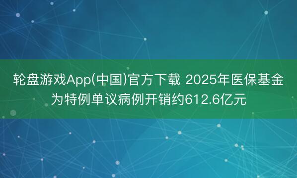 轮盘游戏App(中国)官方下载 2025年医保基金为特例单议病例开销约612.6亿元
