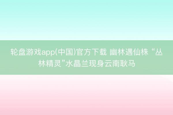 轮盘游戏app(中国)官方下载 幽林遇仙株 “丛林精灵”水晶兰现身云南耿马