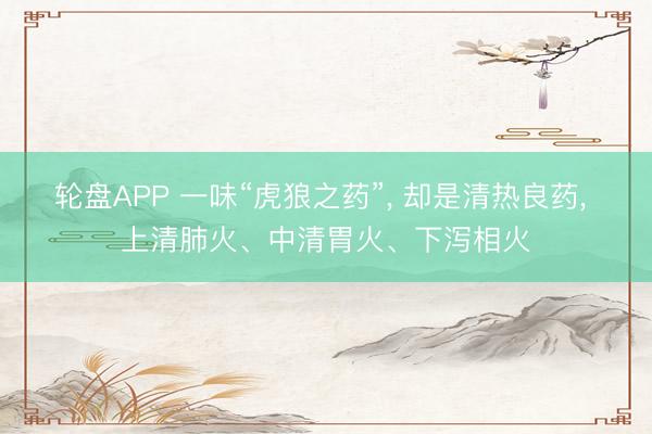 轮盘APP 一味“虎狼之药”， 却是清热良药， 上清肺火、中清胃火、下泻相火