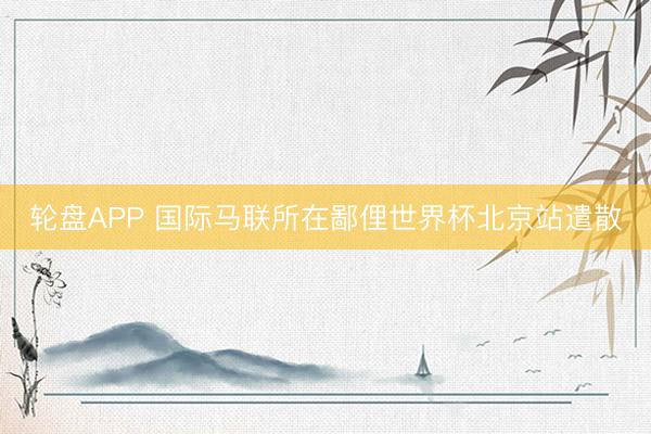 轮盘APP 国际马联所在鄙俚世界杯北京站遣散