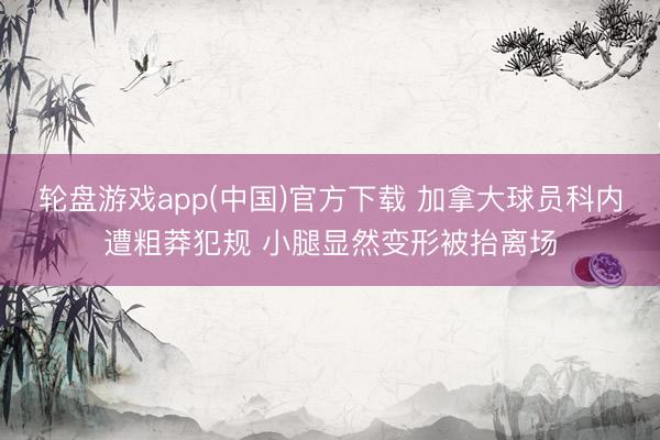 轮盘游戏app(中国)官方下载 加拿大球员科内遭粗莽犯规 小腿显然变形被抬离场